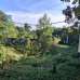 মনোরম পরিবেশে জমি সহ বাড়ি বিক্রয়।, Residential Plot images 