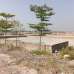 Purbachal Probashi Palli Project. , Residential Plot images 