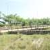 Ashiyan city , Residential Plot images 