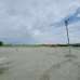 3 Katha Great Plot Is Ready For Sale In Purbachal, Residential Plot images 
