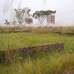 Bashundhara Block  - N, Residential Plot images 