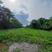 60 decimal land sale, Agriculture/Farm Land images 