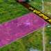 রাওদাহ টাওয়ার, Land Sharing Flat images 