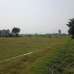 Modhu City-3, Residential Plot images 