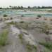 Modhu City-3, Residential Plot images 