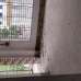 Professors House, Apartment/Flats images 
