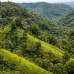 Land in rangunia,ranirhatt, Commercial Plot images 