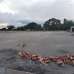 Modhu City-3, Residential Plot images 