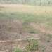 Dhaka Village, Residential Plot images 