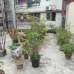 5 Katha Land with 3 Storied building , Independent House images 