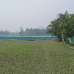 35 Shotok Land for Farming, Industry, Factory, Baganbari, Warehouse, Cattle Farm., Agriculture/Farm Land images 