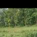 Agro land for sale, Agriculture/Farm Land images 