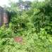 Prawdip Chowdhury , Agriculture/Farm Land images 