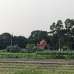 Sirajdikhan, Munshiganj; 322 decimals of ancestral land for sale in 5 deeds!, Residential Plot images 