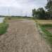 Sirajdikhan, Munshiganj; 322 decimals of ancestral land for sale in 5 deeds!, Residential Plot images 