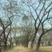 BDC North Town Abason Society, Residential Plot images 