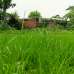 Jomi, Residential Plot images 