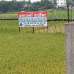 Comfort Housing, Residential Plot images 
