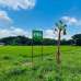 Swapno Nibash, Residential Plot images 