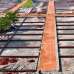 Dhaka model city property , Residential Plot images 