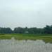 Land for Industry, Commercial Plot images 