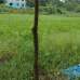 Self, Residential Plot images 