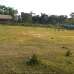 Own, Agriculture/Farm Land images 
