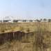 P Extension Block, Residential Plot images 