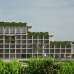Saltanat Tea Resort , Hotel and Resort images 