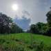 60 decimal land sale, Agriculture/Farm Land images 
