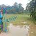 Gazipur land for sale, Agriculture/Farm Land images 