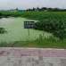 Shantinagar , Residential Plot images 