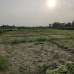 Sirajdikhan, Munshiganj; 322 decimals of ancestral land for sale in 5 deeds!, Residential Plot images 