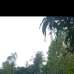 Shree, Agriculture/Farm Land images 