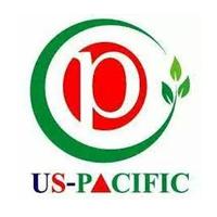 US-PACIFIC GROUP logo