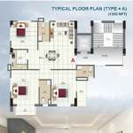 Floors Images