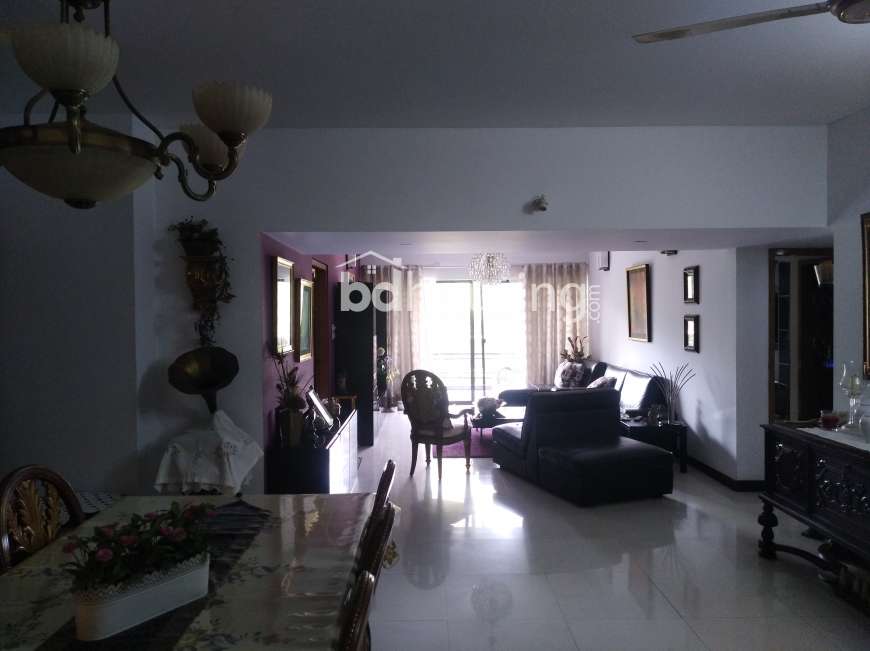 Dhanmondi Lake View 3348 sft luxury flat , Apartment/Flats at Dhanmondi