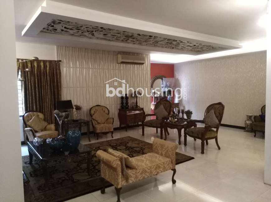 Dhanmondi Lake View 3348 sft luxury flat , Apartment/Flats at Dhanmondi