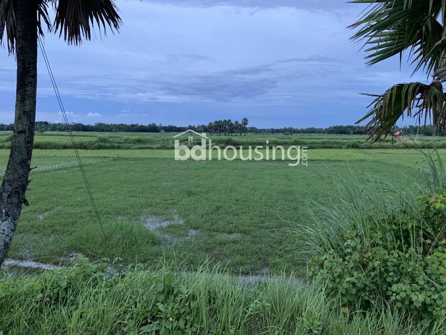Ms properties , Agriculture/Farm Land at Laksam