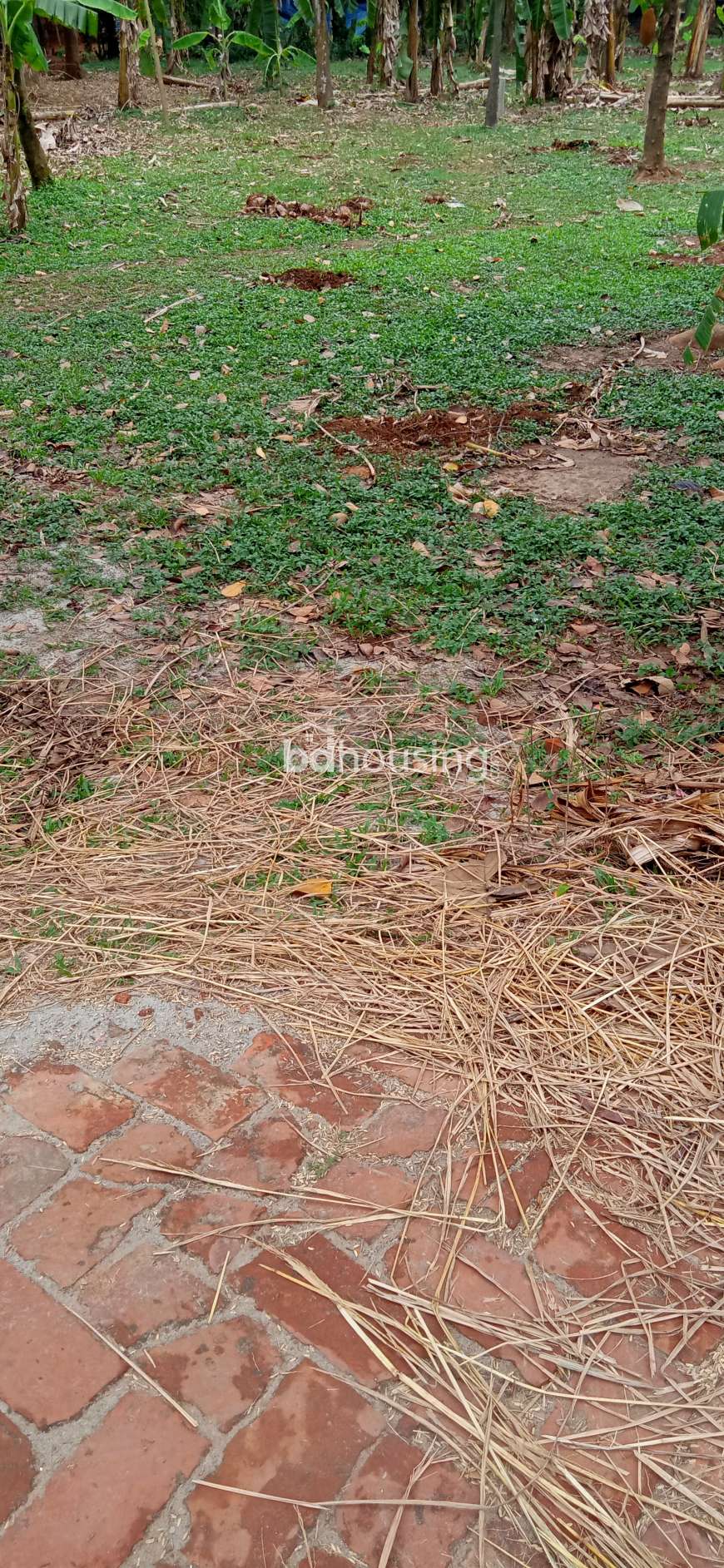 3.63 katha land, Residential Plot at Savar