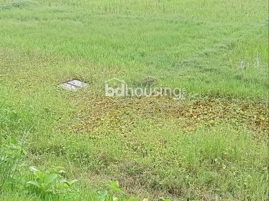 ভবিষ্যৎ আবাসনের সিদ্ধান্তটি  হোক এরিসন রতন নগরে ! , Residential Plot at Purbachal