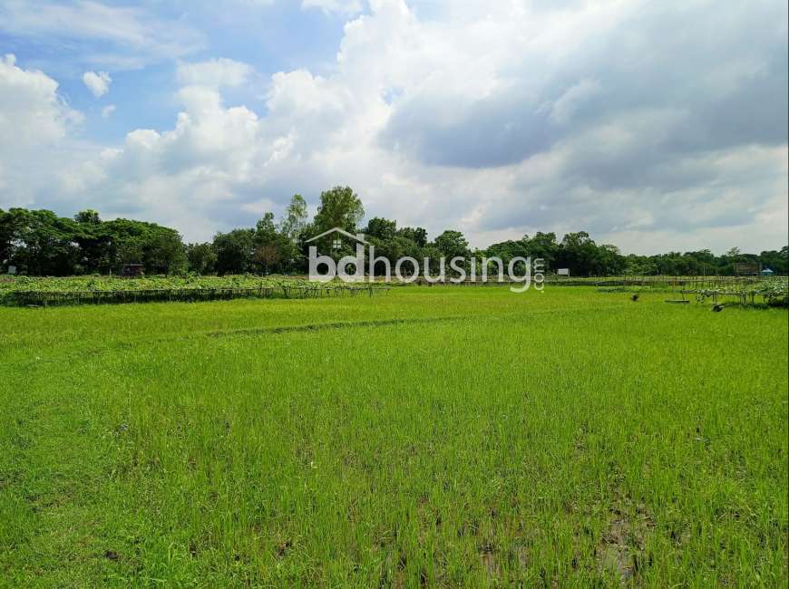 এরিসন রতন নগর হোক আপনার স্বপ্ন পূরনের অঙ্গীকার !, Residential Plot at Purbachal