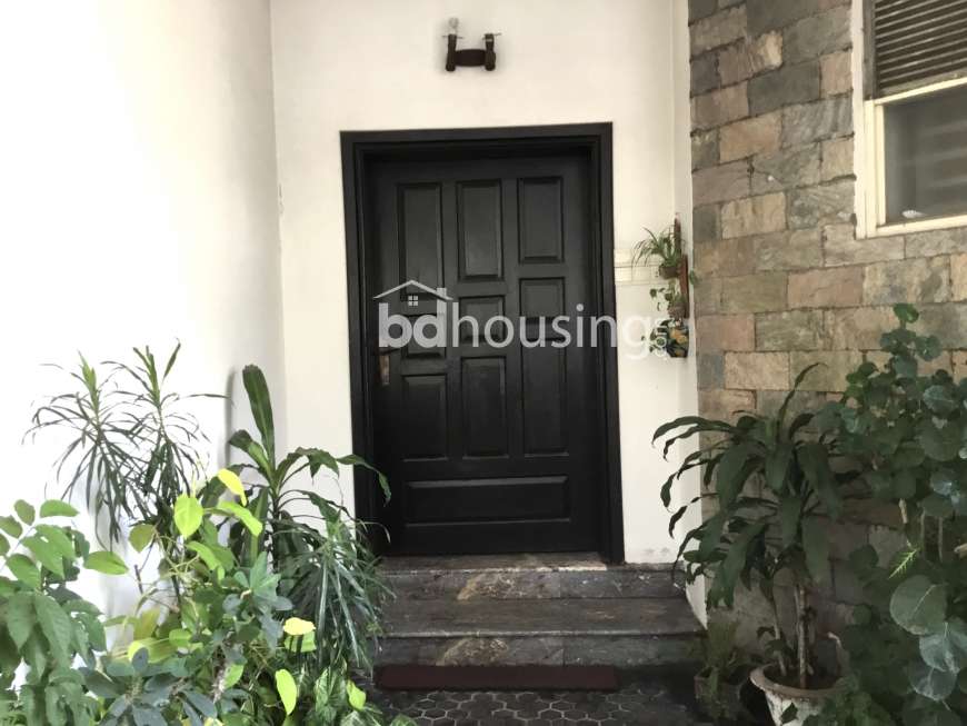House 13, Office Space at Khulshi