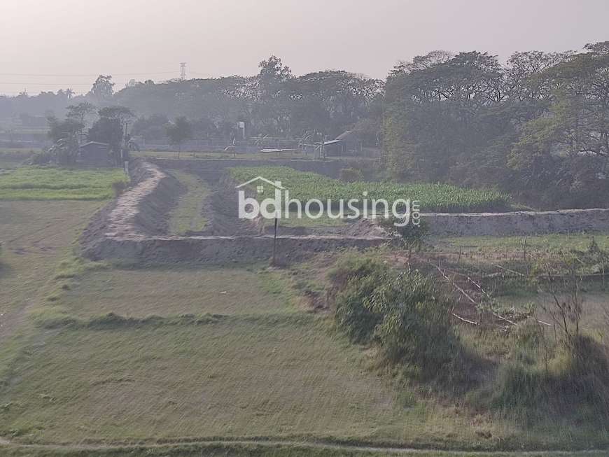 Bosila, Residential Plot at Mohammadpur