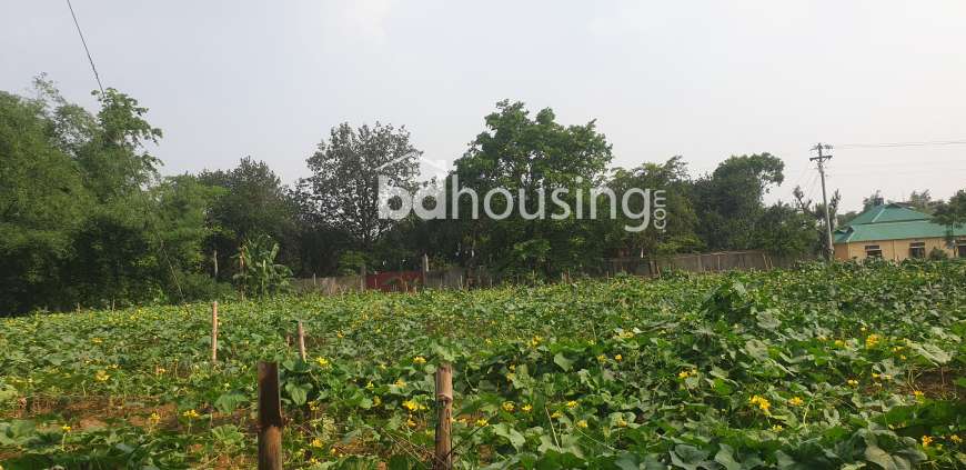 land for sale by road 21 decimal, Commercial Plot at Konabari