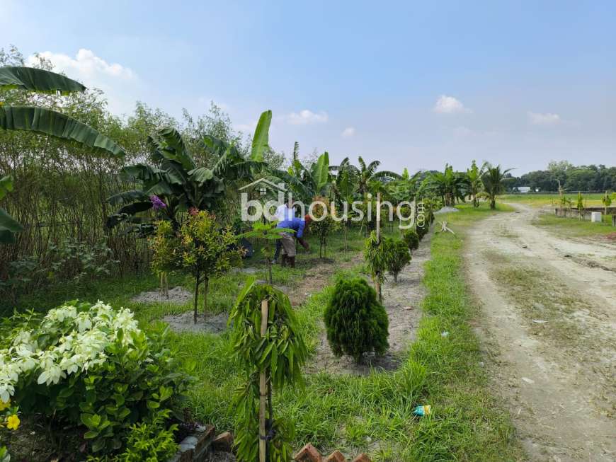 Swapnabhumi Abason, Residential Plot at Purbachal