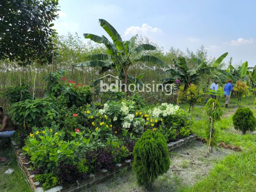 Swapnabhumi Abason, Residential Plot at Purbachal