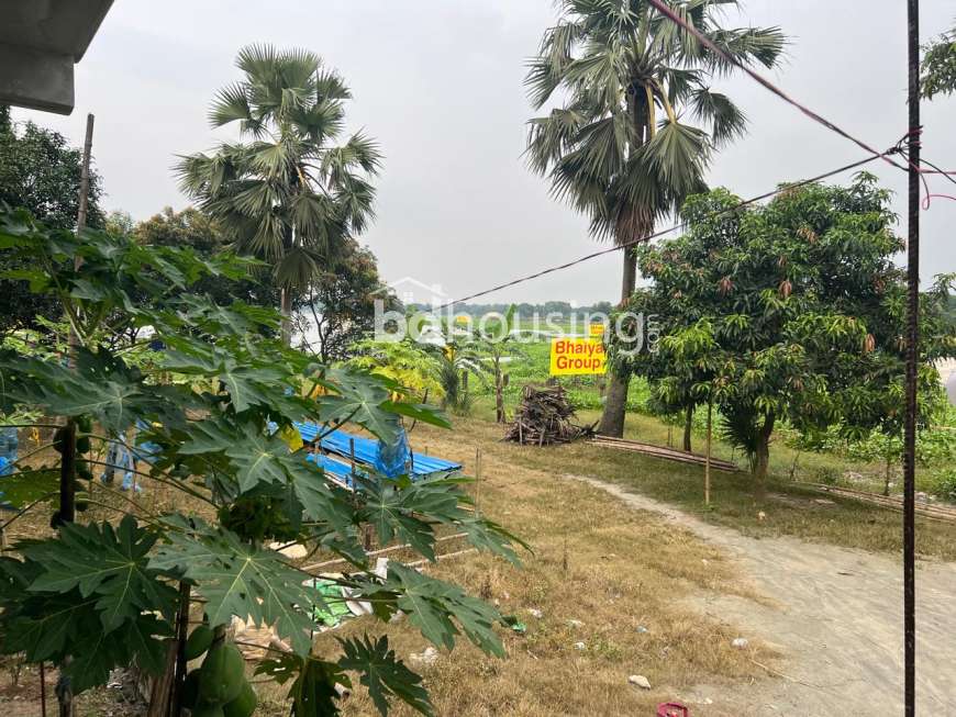 Pine City, Residential Plot at Purbachal