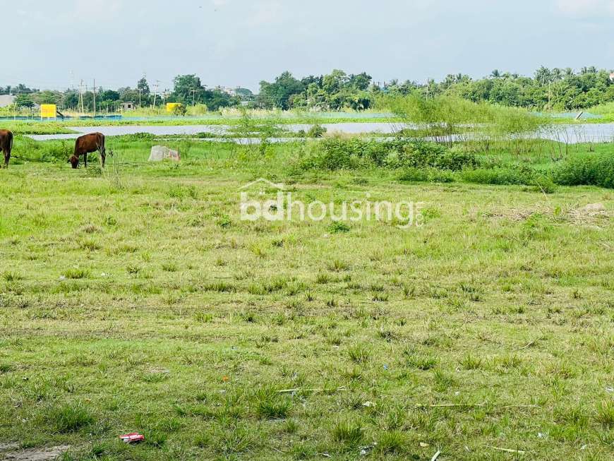 Birtara City, Residential Plot at Mawa Highway Road