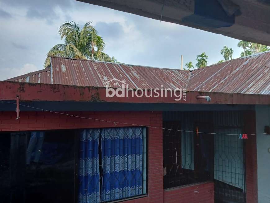 Land with a tin shade house., Land Sharing Flat at Pouro Bazar